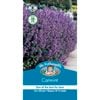 Mr Fothergill's Catmint Seeds