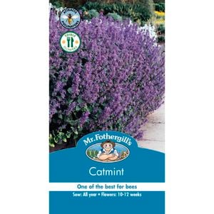 Mr Fothergill's Catmint Seeds