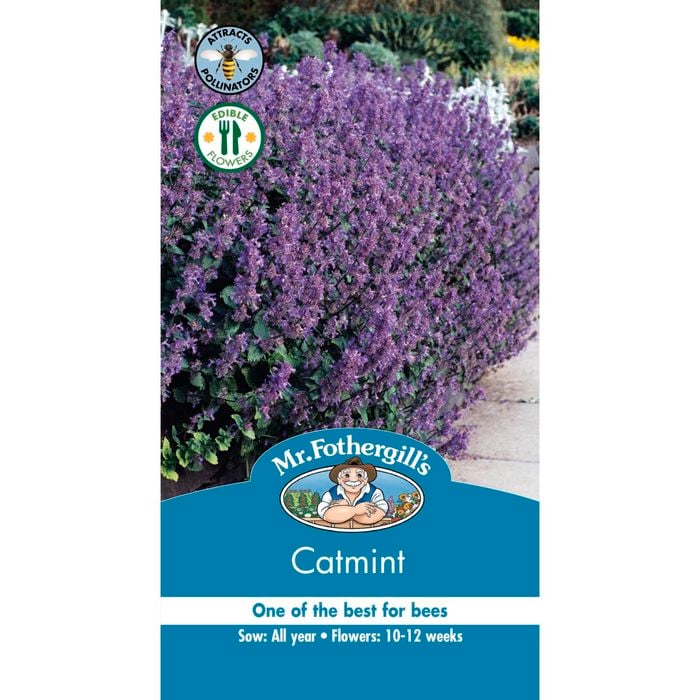 Mr Fothergill's Catmint Seeds