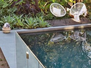 A pristine outdoor pool with deck chairs and lush green plants.
