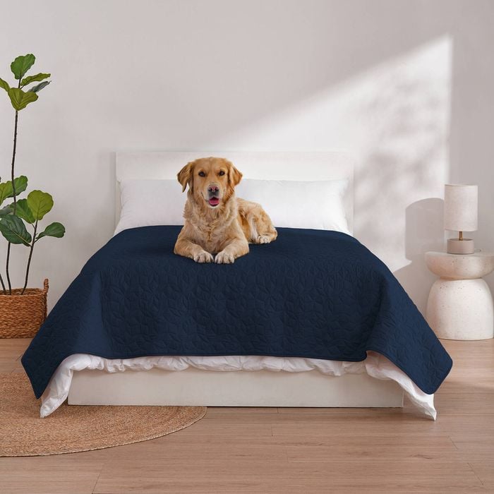 Charlie's Sofur Waterproof Dog Bed Cover Protector Double/queen 208x208cm Midnight Blue