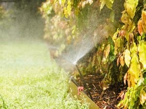 Watering garden using the installed irrigation system.