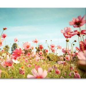 Cosmos Flower Blossom in Garden  Print 100% Australian Made 150 x 100cm  (Stretched)