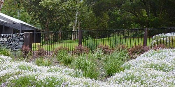 Garden with shrubs.