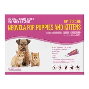 Neovela (selamectin) Flea And Worming For Puppies And Kittens Upto 2.5 Kg Pink 12 Pack