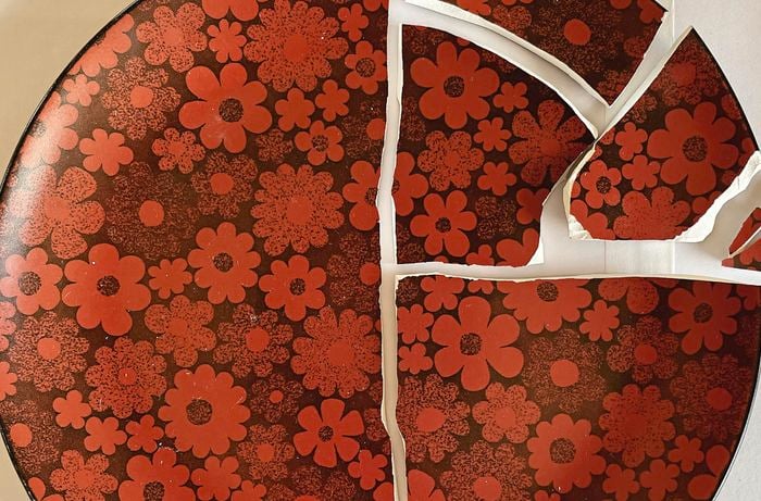 Patterned ceramic plate broken into pieces