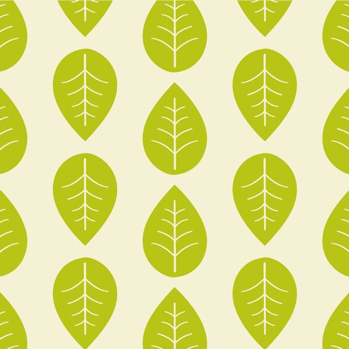 Karlstert Beeswax Swich Pouch Leaves - Set of 2