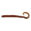 Berkley Gulp 4" Turtleback Worm Soft Plastic Fishing Lure Camo