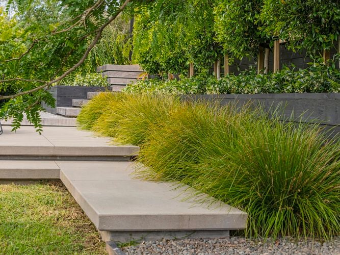 landscaped garden