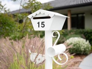 A freshly metal painted white mailbox.
