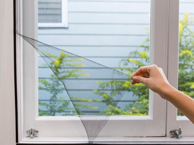 net peeled off a window