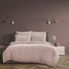 5pc Ardor Boudoir Millicent Queen Bed Comforter Set - Peach