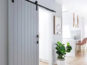 Sliding door - Indoor Tree and light - Indoor - Wide