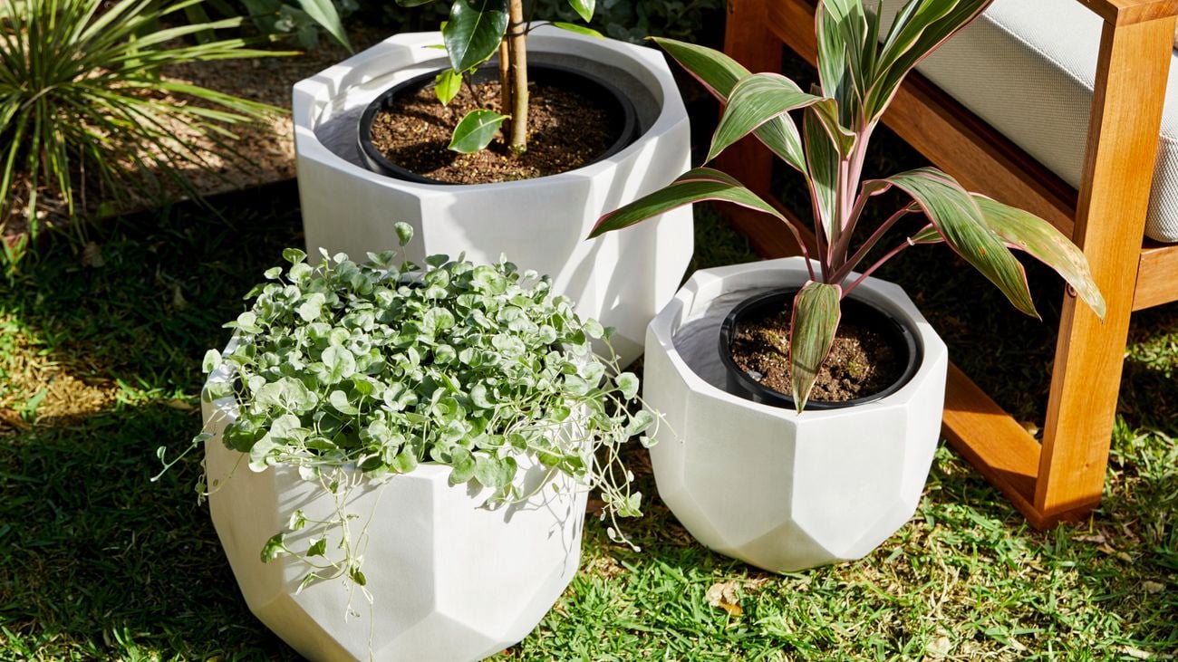 white coloured pots in a garden