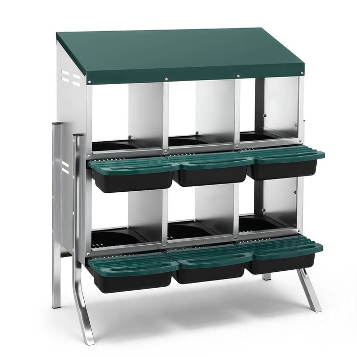 I.pet Chicken Nesting Box Roll Away Metal Nesting Box Wall Mounted 6 Holes Green