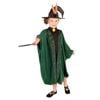 Professor McGonagall Halloween Costume Child Harry Potter Robe with Hat and Brooch - Green, 9  Years+