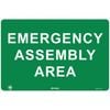 Pinnacle 600 x 400mm Poly Emergency Assembly Area Sign