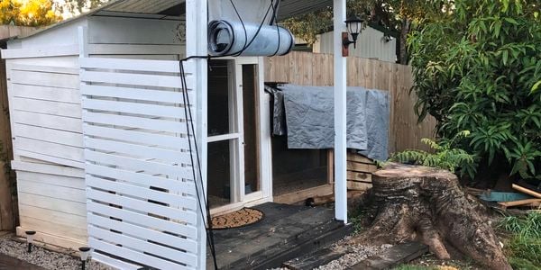 Chicken in backyard on lawn next to chicken coop with roll down awning