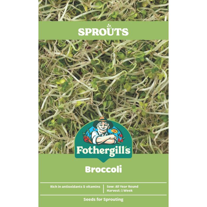 Fothergill's Broccoli Sprouts Vegetable Seeds