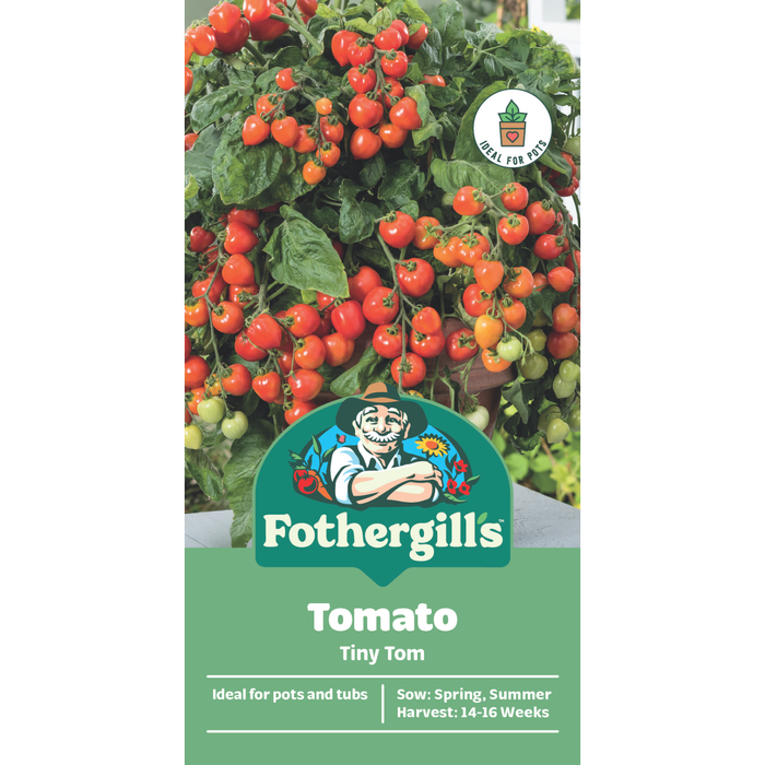 Fothergill's Tiny Tom Tomato Container Seeds