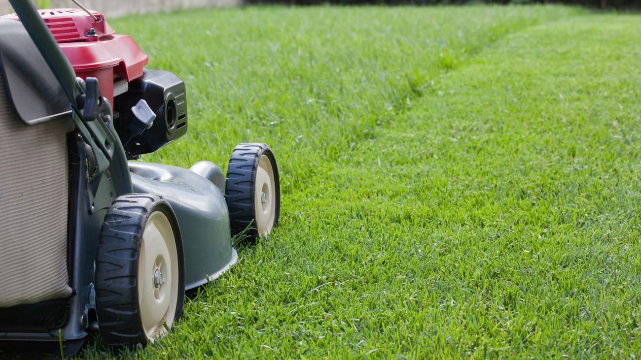 Red lawn mower growing green grass during daytime