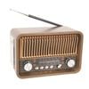 Portable Multi-band Radio Brown