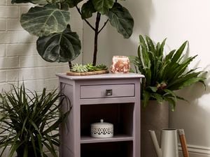 Lilac bedside table surrounded by indoor plants