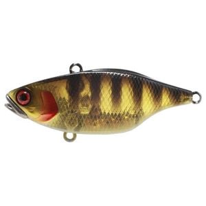 Jackall TN60 Hard body Vibration Fishing Lure Ghost Black Yellow