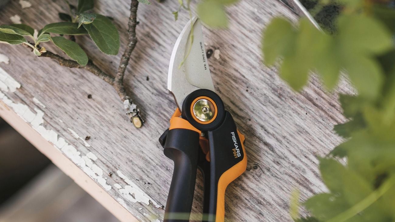 Fiskars pruners sitting on wooden plank with a branch of leaves.