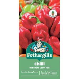 Fothergill's Chilli Habanero Giant Red