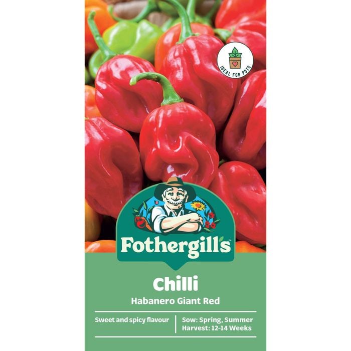 Fothergill's Chilli Habanero Giant Red