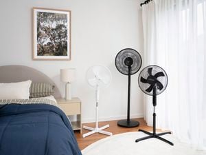 Three pedestal fans in white and black positioned beside a bed in a bright bedroom with sheer curtains and a bedside table.