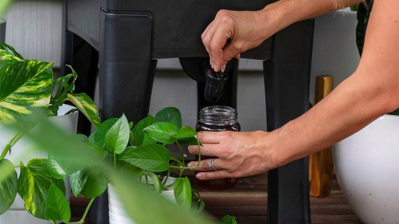 A close-up of a woman’s hands using the tap on a worm cafe pouring ‘worm tea’ into a jar, two white pots with leafy green plants placed nearby.