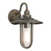 Cougar Lighting Montana Exterior Light Old Bronze