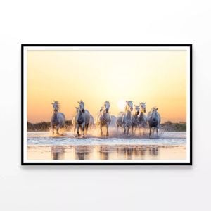 Herd Of Horses Running on Water  Print 100% Australian Made 120x90cm  (Poster)