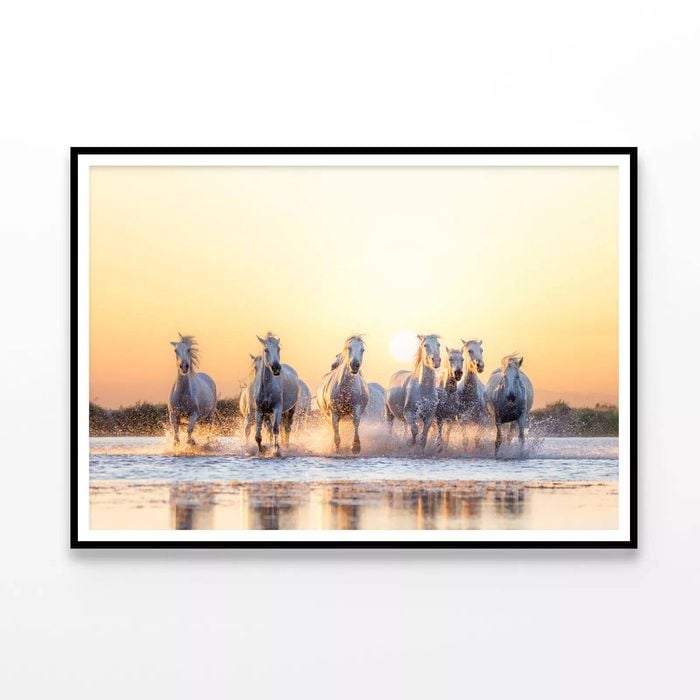 Herd Of Horses Running on Water  Print 100% Australian Made 120x90cm  (Poster)