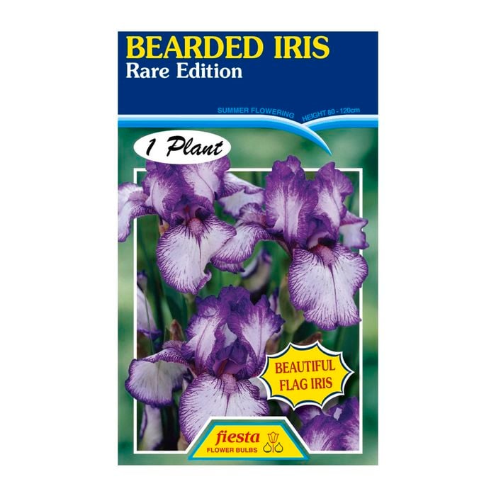 Fiesta Flower Bulbs Iris Germanica Rare Edition Bulb
