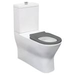 Fienza Delta Care Back to Wall Toilet Suite P trap