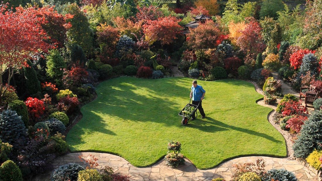 A man pushes a wheelbarrow through a perfectly manicured lawn to show how to prepare  your garden for autumn