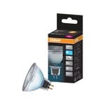 Osram MR16 LED 720lm Daylight 7.5W Dimmable Downlight Globe