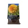 Yarra Valley Bulbs Dahlia Florelie Dandelion - 1 Pack