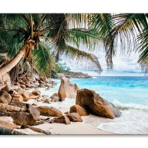 Rocks And Palm Trees Along the Shore  Print 100% Australian Made 75 x 50cm  (Stretched)