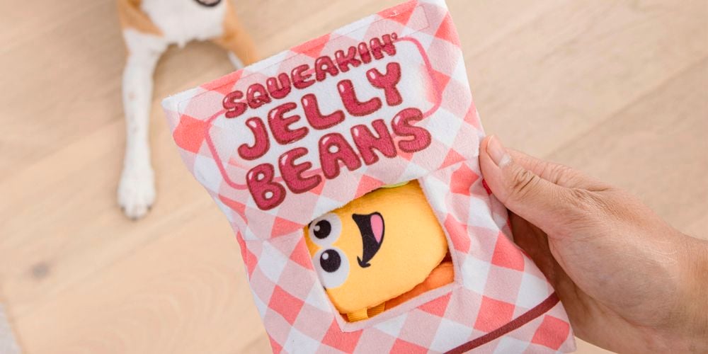 P&C
  Squeakin' Snack Surprise