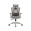 SIHOO M57 Ergonomic Office Chair Desk - (Grey Frame with Grey Mesh)