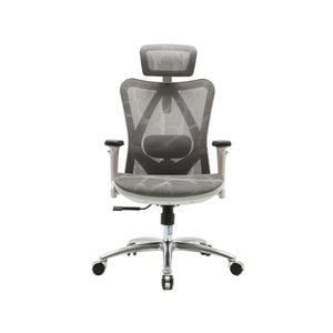 SIHOO M57 Ergonomic Office Chair Desk - (Grey Frame with Grey Mesh)