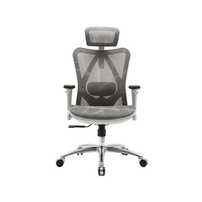 SIHOO M57 Ergonomic Office Chair Desk - (Grey Frame with Grey Mesh)