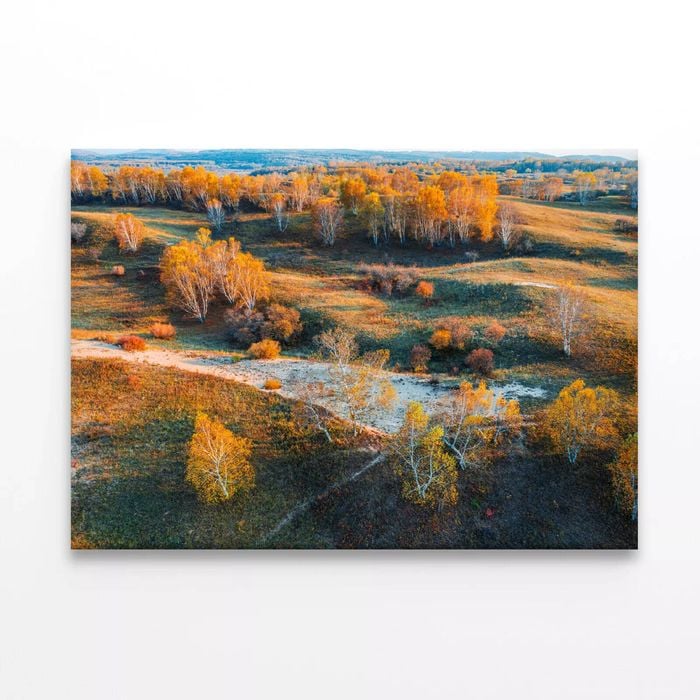 Yellow Grassland Nature  Print 100% Australian Made 90 x 60cm  (Stretched)