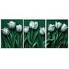 3pcs Visual effects Tulip Art Painting Print 100% Australian Made 3 x 40x60cm (Metal Print)