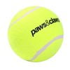 Paws And Claws Jumbo Tennis Ball 10cm Assorted