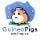 Guinea Pigs Australia Pty Ltd